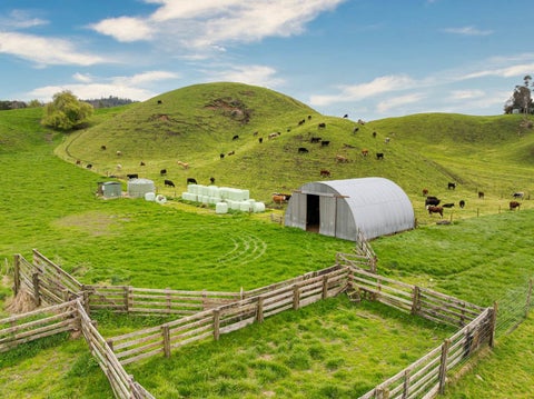 1091 Braemar Road, Rotoma, Whakatane