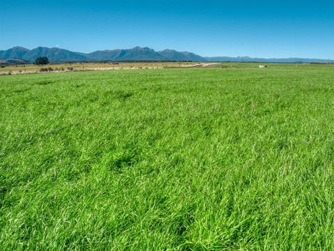0 Mossy Creek Road, Ikamatua, Totara Flat