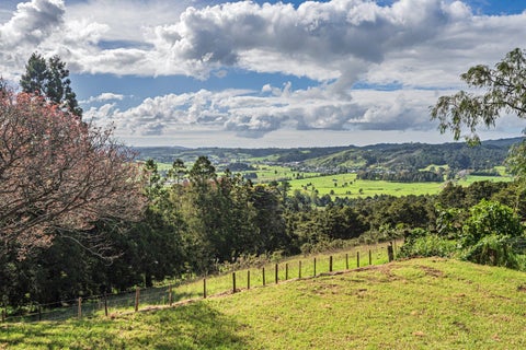400 Apotu Road, Kauri