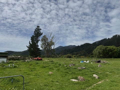 17 Para Railway Road, Koromiko