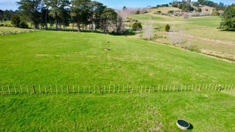 4 Main Road, Kauri