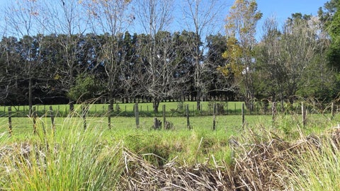 Recently Sold Houses in Horeke, Okaihau | Trade Me Property