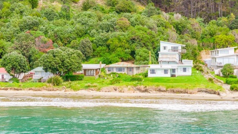202 Pourerere Beach Road, Aramoana, Omakere