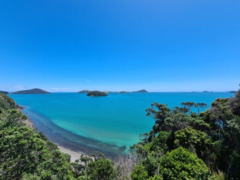 1600 Wyuna Bay Road, Wyuna Bay, Coromandel