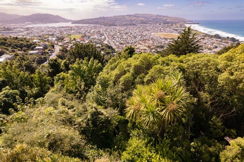 54A Earls Road, Saint Clair, Dunedin