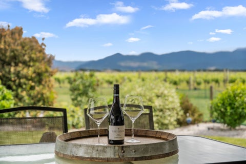 445 Dillons Point Road, Blenheim