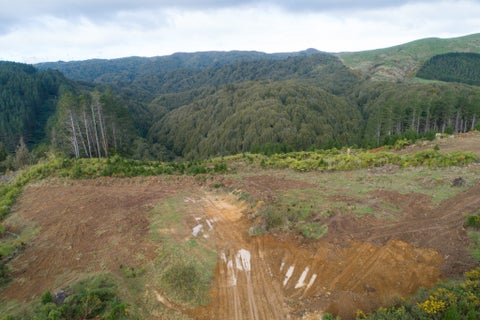 2 Pineland Drive, Turitea, Palmerston North