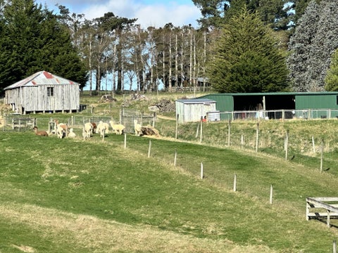 140 Three Mile Hill Road, North Taieri, Mosgiel