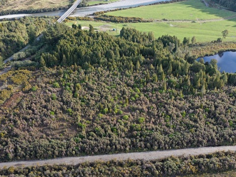 0 Harihari Hwy, Kakapotahi, Ross