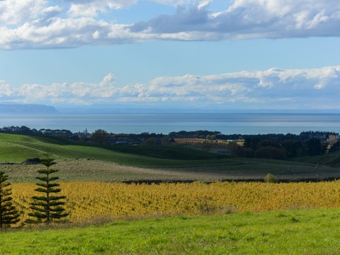 81 Millar Road, Hastings