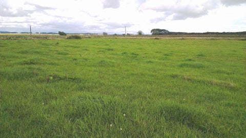 0 State Highway 1, Himatangi, Foxton