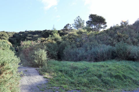 364 State Highway 2, WHAKATU, HASTINGS