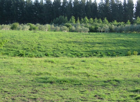 1257 Wakarara Road, Ongaonga, Ongaonga