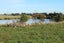 270 Roslyn Road, Roslyn Bush, Invercargill - Carousel 4
