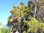 7 Lavinia Place, Kawau Island, Kawau Island - Carousel 9