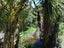 9085 State Highway 35, Waihau Bay, Te Kaha - Carousel 16