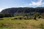 387 Pokuru Road North, Whakamaru, Mangakino - Carousel 15