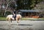189 Carrs Road, Loburn, Rangiora - Carousel 10
