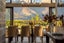 1 Todd Lane, Lake Hayes, Queenstown - Carousel 14