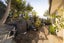5 Veda Place, Pyes Pa, Tauranga - Carousel 8