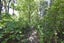 13 Okuti Valley Road, LITTLE RIVER, Little River - Carousel 27