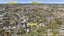 24A Orinda Close, Botany Downs, Auckland - Carousel 21