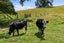 71 Link Road, Wairakei, Taupo - Carousel 7