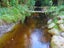 207 Tanglefern Row, Virgin Flat, Cape Foulwind - Carousel 9