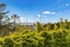 168 Shaw Road, Oratia, Auckland - Carousel 10