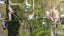10 Te Ranginui Place, Karikari Peninsula - Carousel 25