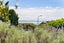 15 Edmund Street, St Heliers, Auckland - Carousel 22