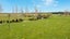 116 Station Road, Waipukurau - Carousel 26