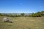 0 Akerama Road, Hukerenui, Hikurangi - Carousel 23