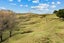 1350 State Highway 12, Oue, Kaikohe - Carousel 33