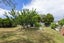 58 Chalmers Road, Elgin, Gisborne - Carousel 28