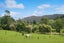 387 Wentworth Valley Road, Whangamata - Carousel 38