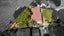 24 Hoylake Place, Wattle Downs, Auckland - Carousel 22