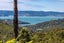 161 Orapiu Road, Waiheke Island, Waiheke Island - Carousel 14