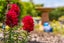 88 Second View Avenue, Beachlands, Auckland - Carousel 31