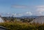 263C Mount Albert Road, Wesley, Auckland - Carousel 16