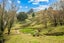 1350 State Highway 12, Oue, Kaikohe - Carousel 6