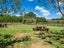 597D Omanawa Road, Omanawa, Tauranga - Carousel 33