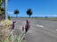 8 Point Road, Monaco, Nelson, Nelson / Tasman - Carousel 19