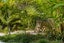 1G Eversleigh Road, Belmont, Auckland - Carousel 23