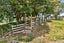 218 State Highway 12, Brynderwyn, Maungaturoto - Carousel 50