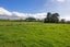 870 Pirongia Road, Pirongia, Pirongia - Carousel 22