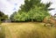 512A Wellington Road, Marton - Carousel 30