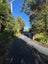 65 Greenacres Street, Macandrew Bay, Dunedin, Otago - Carousel 38