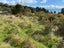 36 Pohara Valley Road, Pohara - Carousel 11