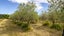 83 Boundary Road, Upper Plain - Carousel 9